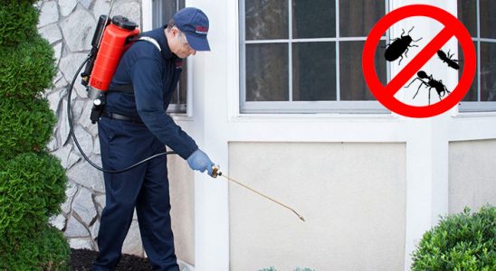 Seben Böcek İlaçlama böcek ilaçlama ve haşere kontrolü — ilaclama-tr.com